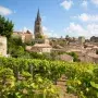 vineyard france