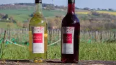 Le Floc de Gascogne