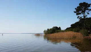 Le lac de Cazeau-Sanguinet